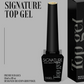 DGEL Basics Gel Top Coat - Non-Wipe Signature