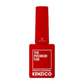 Kenzico Gel Colour #PPR101