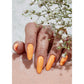The Gelbottle Gel Colour - Turner's Sunset