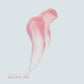 V Beauty Pure Builder Gel - Rose Petal