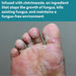 Dr. Blaine's Tineacide Shoe Spray