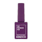 Kenzico Gel Colour #FFW206