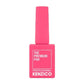 Kenzico Gel Colour #PI05
