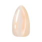 Kokoist Cat Eye Gel Polish - Yume Magnet Collection #YM41-46 (6Pcs)