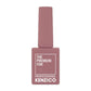 Kenzico Gel Colour #FFW404