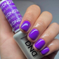 DND Gel & Lacquer Duo - Grape Jelly #581