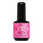 Bio Seaweed Gel Terrazo #T1 Strawberry Margarita