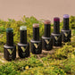 V Beauty Pure Gel Polish Cozy Endings Collection 6Pcs