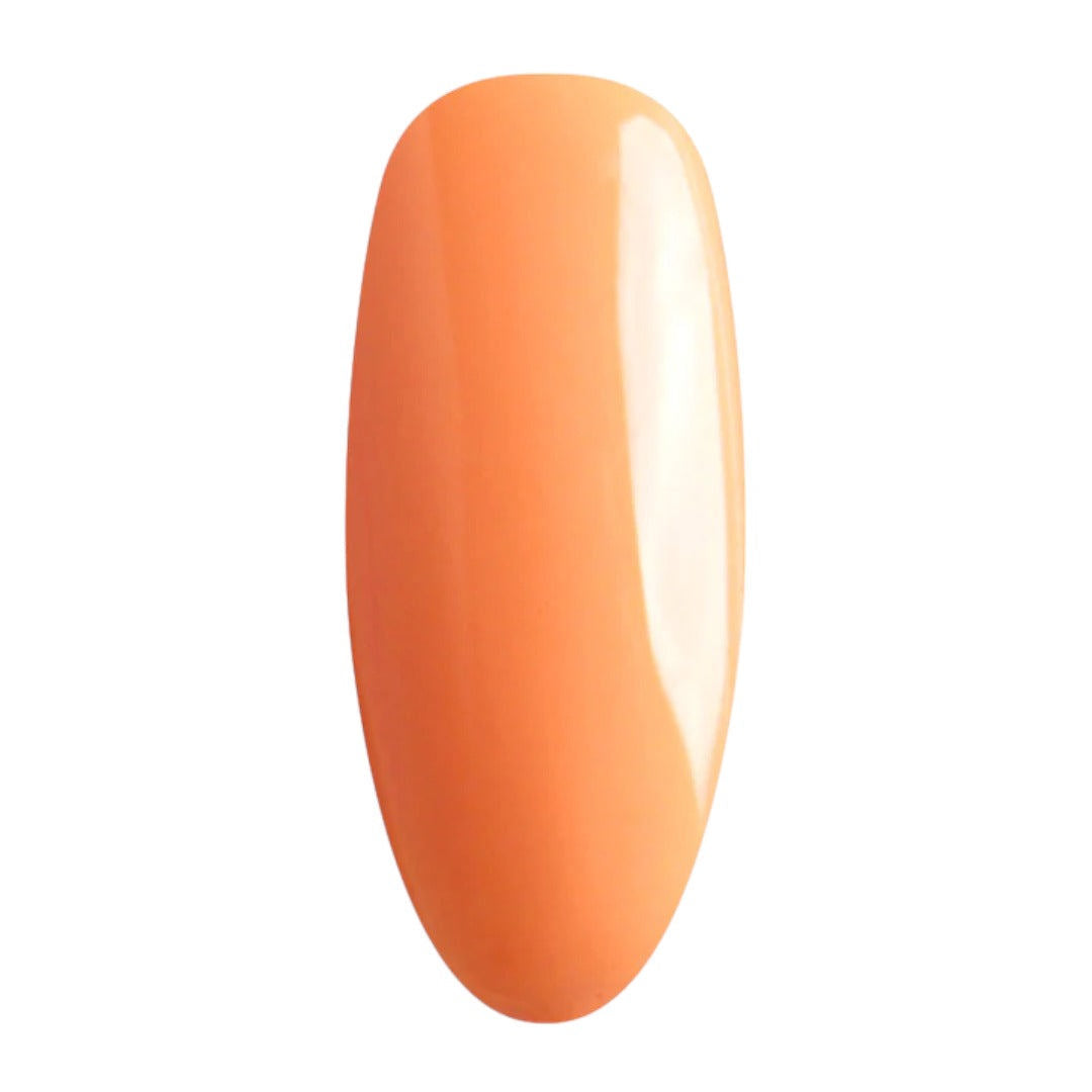 Elite Gel & Lacquer Duo #16