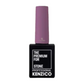 Kenzico Gel Colour #ST06