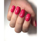 Akzéntz Luxio Gel Colour - Entrancing #077