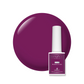 Kokoist Bottle 'N Go - Blueberry Purple #BC-34