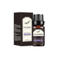 Aromatherapy Essential Oil 10mL for Diffuser, Nail Salon, Spa