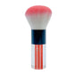 Champion Glass Dust Brush