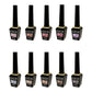 DGEL Signature Cat Eye Gel Polish #DS193-202 Ornament Collection