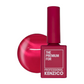 Kenzico Gel Colour #AT02