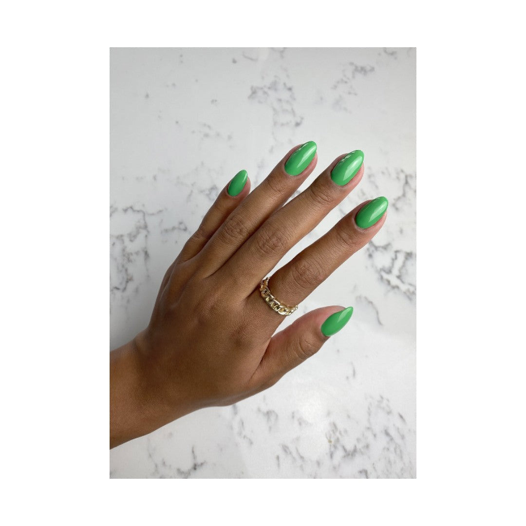 The Gelbottle Gel Paint (HEMA-Free) - Bottega