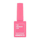 Kenzico Gel Colour #PI04