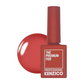 Kenzico Gel Colour #AT109