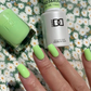 DND Gel & Lacquer Duo - Green Forest, Ak #568