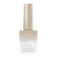 Kenzico Cat Eye Gel Polish #CE04