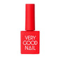 Very Good Nail Gel Colour #R2