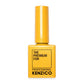 Kenzico Gel Colour #GN04