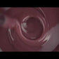The GelBottle - Gel Pot 1 #24