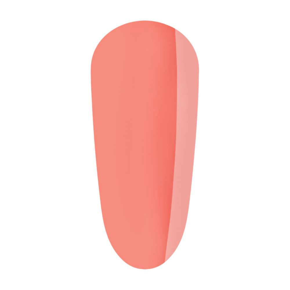 The Gelbottle Gel Colour - Vacay