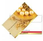 Matching Envelope For Gift Certificate #EN106