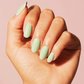 The Gelbottle Gel Colour - Matcha Latte