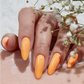 The Gelbottle Gel Colour Regency Bloom Collection 10Pcs