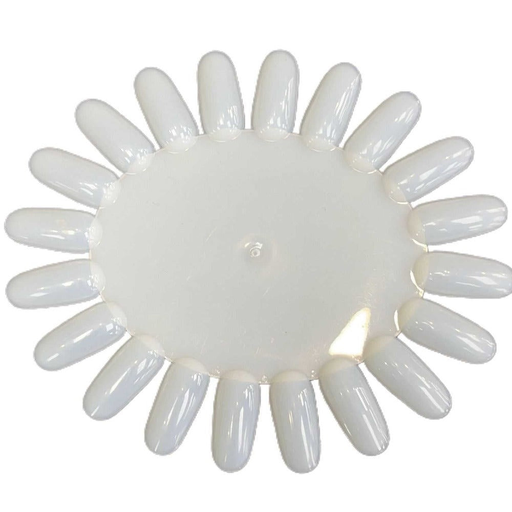 Colour Display - Oval Natural (Pack of 10) #10015