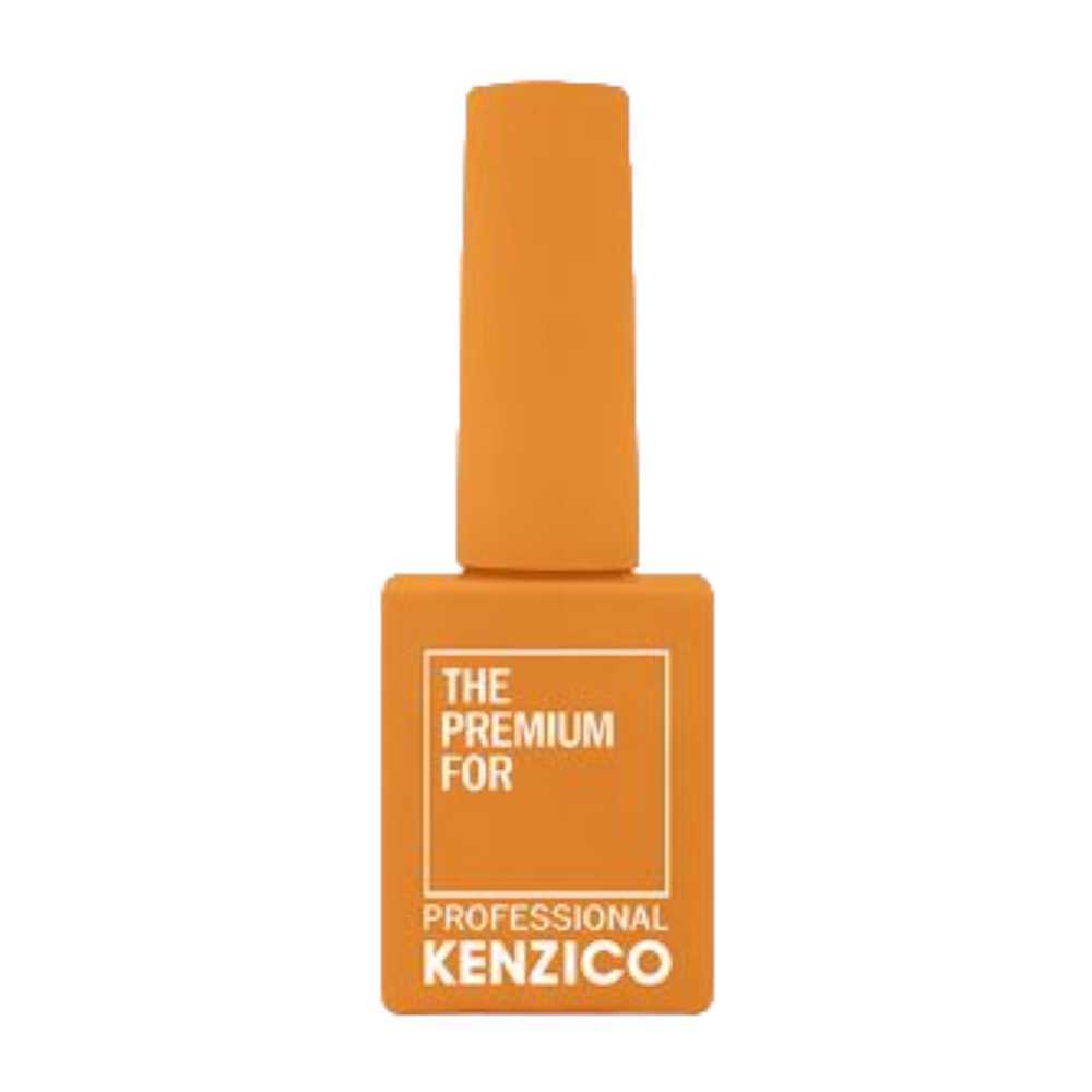 Kenzico Gel Colour #FW03