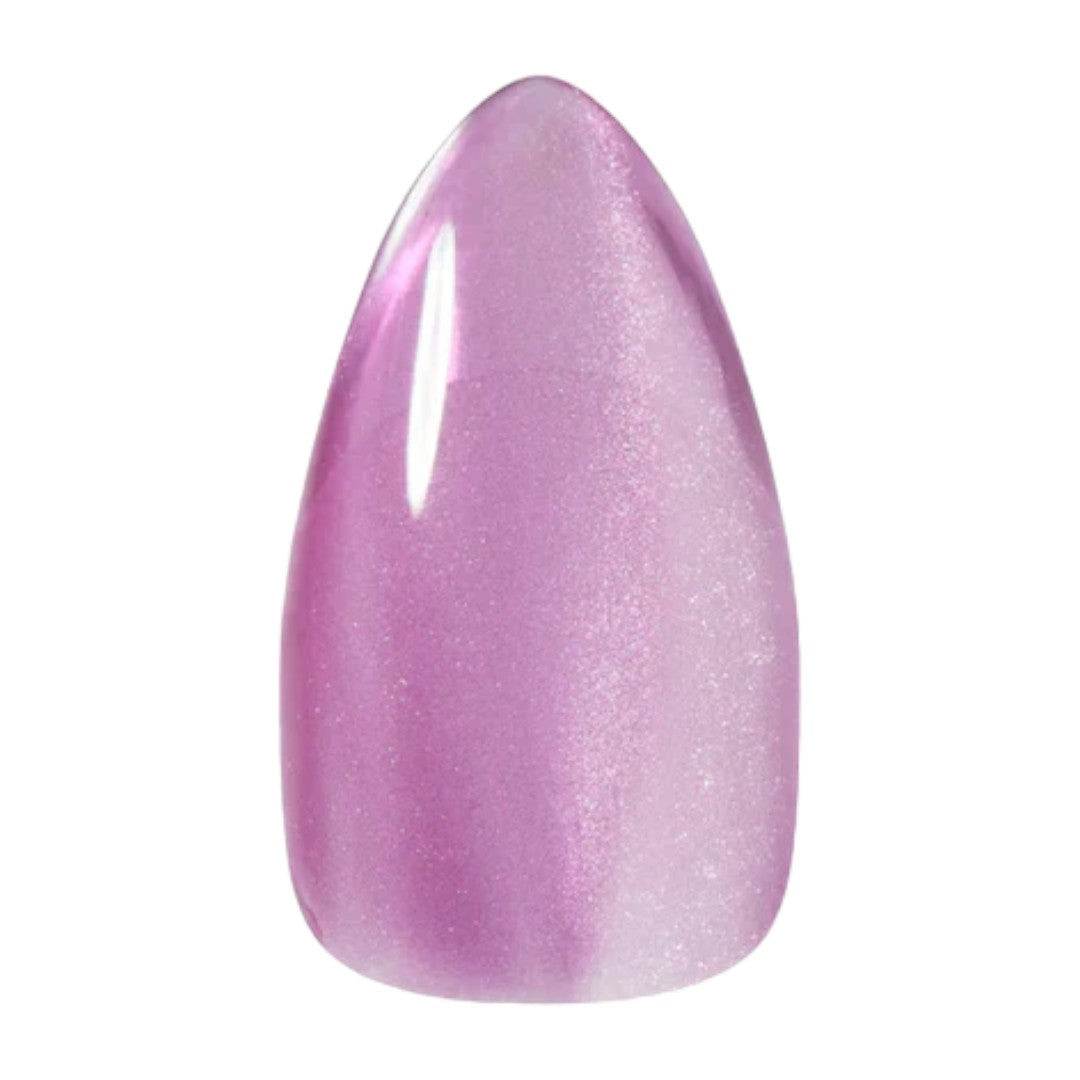 Kokoist Water Magnet - Beets Water #WM-29