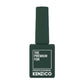 Kenzico Gel Colour #FFW504