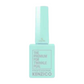 Kenzico Gel Colour #TKP05