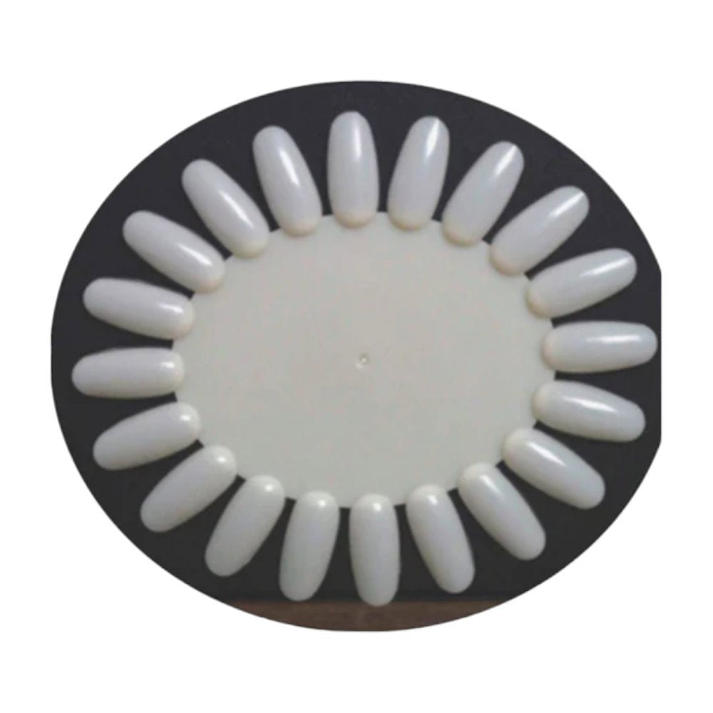 20-Tip Oval Display Natural (Pack Of 10)
