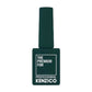 Kenzico Gel Colour #FFW505