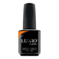 Akzéntz Luxio Gel Colour - Shock #904