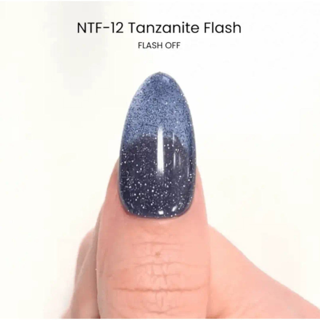 Kokoist x Nail Thoughts Flash Colour Gel - Tanzanite Flash #NTF-12