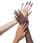 V Beauty Pure Gel Polish - 169