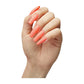 The Gelbottle Gel Colour - Vacay