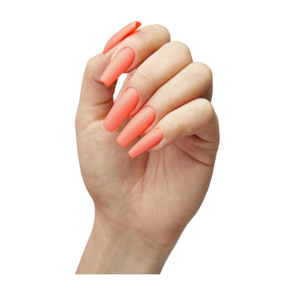 The Gelbottle Gel Colour - Vacay
