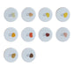 Enoi Gel Polish - Citrus Series #CI601-CI610 Collection