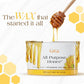 Gigi Soft Wax - All Purpose Honee 14Oz #0330