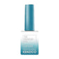 Kenzico Cat Eye Gel Polish #CE310