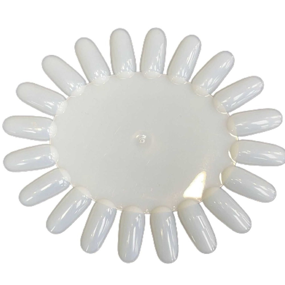 Colour Display - Oval Natural (Pack of 10) #10015 Classique Nails Beauty Supply Inc.