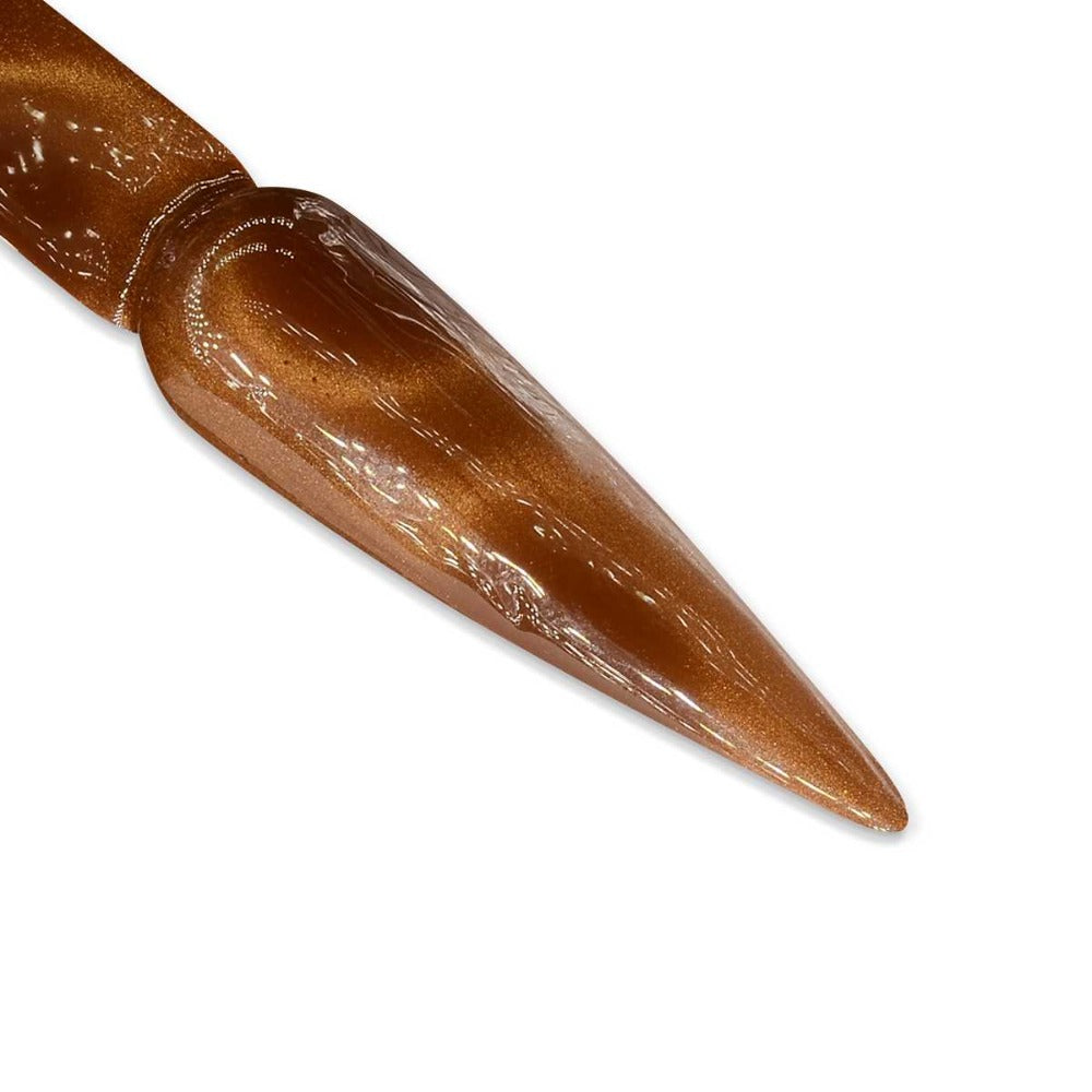 IGel 3D Cat Eye Gel Carina, nail art ideas
