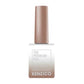 Kenzico Korean Gel Polish, Cat Eye Gel Polish CE-304